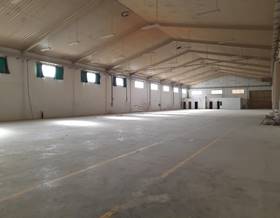 industrial warehouse rent córdoba lucena by 4,500 eur