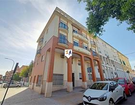 apartment sale cordoba lucena by 71,000 eur