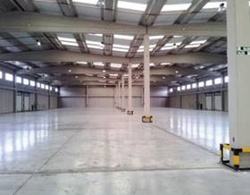industrial warehouse rent imarcoain imarcoain by 8,000 eur