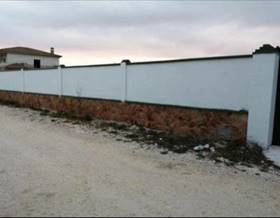 land sale moriles by 28,000 eur