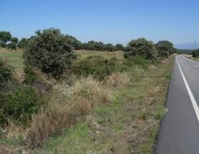 lands for sale in serrejon