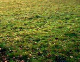 lands for sale in asturias province