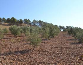 lands for sale in el raposo