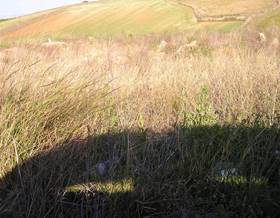 lands for sale in badajoz province