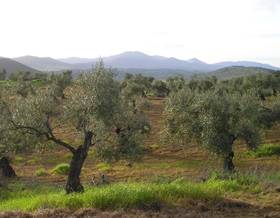 lands for sale in atalaya