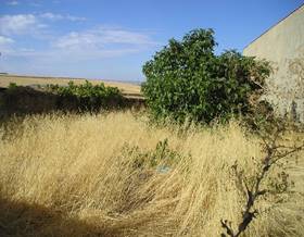 land sale medina de las torres medina de lastorres by 28,000 eur