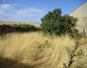 lands for sale in atalaya
