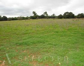 lands for sale in algaida