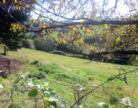 land sale siero siero by 28,500 eur