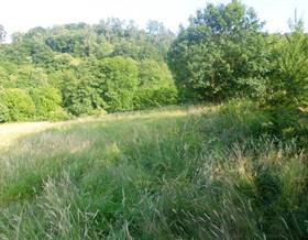 land sale siero siero by 65,000 eur