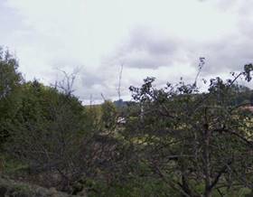 land sale siero siero by 29,000 eur