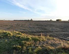 lands for sale in godall