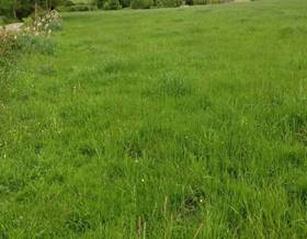 land sale siero siero by 50,000 eur