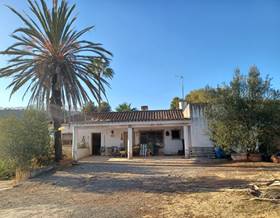 houses for sale in casares