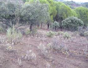 lands for sale in san martin de valdeiglesias