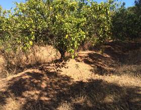 rustic property sale bonares bonares by 0 eur