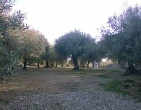 rustic property sale sant carles de la rapita sant carles de la ràpita by 18,000 eur