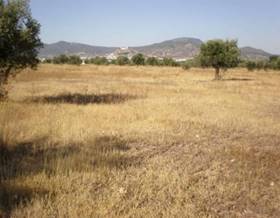 land sale onil part. la hoya - don tomas by 58,630 eur
