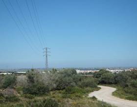 lands for sale in sant jaume d´enveja