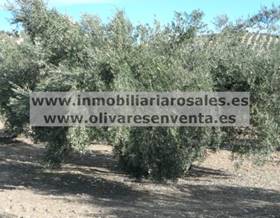 lands for sale in cordoba province