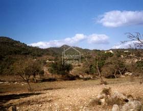 land sale son servera son servera by 220,000 eur