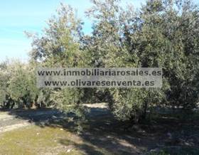 rustic property sale baena by 0 eur