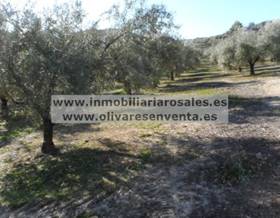 rustic property sale baena by 32,000 eur