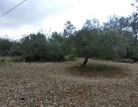 land sale sant carles de la rapita poligono industrial by 55,000 eur