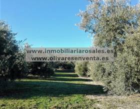 rustic property sale baena 2 fanegas. by 34,000 eur