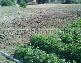 rustic property sale baena 2 fanegas de huerta by 82,000 eur