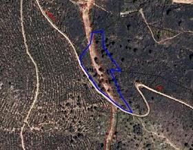 lands for sale in oeste madrid