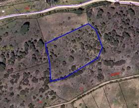 land sale madrid navas del rey by 15,000 eur
