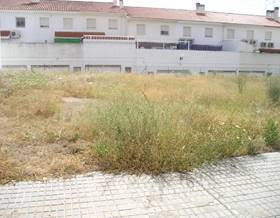 lands for sale in fuente del maestre
