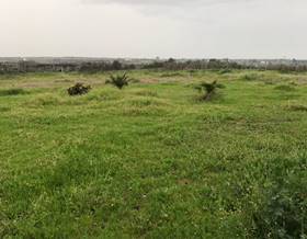 lands for sale in la palma del condado