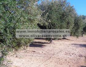 rustic property sale baena 5,3 fan. con subvención by 124,000 eur