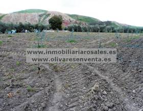rustic property sale baena 1 fan. de huerta, ocasión única. by 65,000 eur