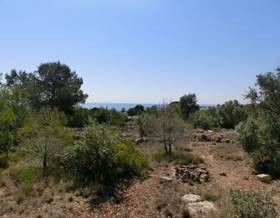 lands for sale in sant carles de la rapita