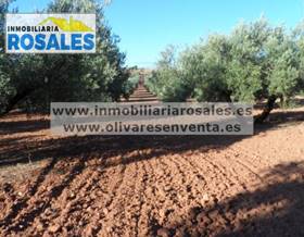 lands for sale in albendin