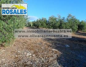 rustic property sale cordoba baena by 147,000 eur