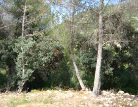 land sale alcalali by 120,000 eur