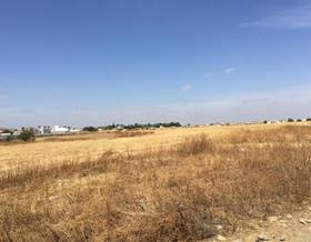 lands for sale in hinojos