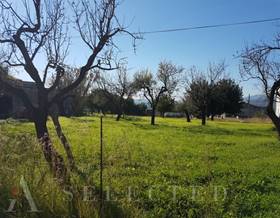 lands for sale in costitx
