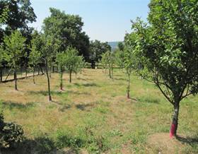 lands for sale in valdeprado del rio