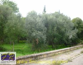lands for sale in balearic islands
