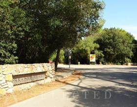 lands for sale in port de alcudia