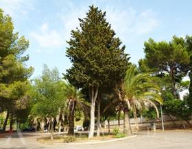 land sale alcudia ciutat d'alcudia by 425,000 eur