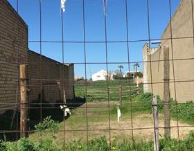 lands for sale in chucena