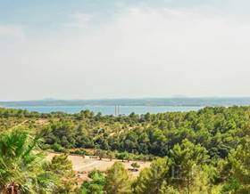 lands for sale in balearic islands