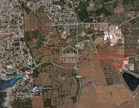 lands for sale in balearic islands