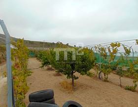 lands for sale in san isidro de abona